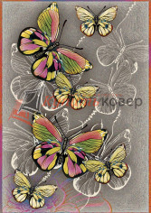 CRYSTAL NC54 — MULTICOLOR CRYSTAL NC54 — MULTICOLOR