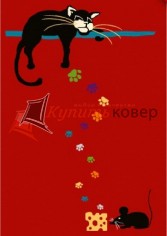 ����� FUNKY Cat amaryllis