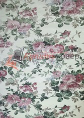 ����� ������� 2550B7 STAN vs
