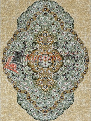 ����� ROYAL ERASA 9535A