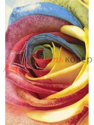 Ковер Hunnu 6A1857 175 Ковер Hunnu 6A1857 175