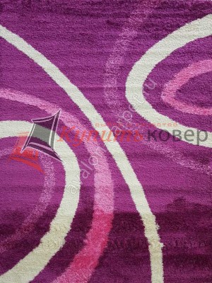 36384X STAN PURPLE / PURPLE