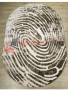 Ковры ШЕНИЛЛ дизайн 27501 цвет 23878 OVAL Ковры ШЕНИЛЛ дизайн 27501 цвет 23878 OVAL