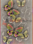 CRYSTAL NC54 — MULTICOLOR CRYSTAL NC54 — MULTICOLOR