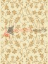Ковер Floare Carpet EUROPEAN 531 LIANA 61707 Ковер Floare Carpet EUROPEAN 531 LIANA 61707