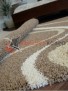 AGNELLA Jazzy Como dark beige AGNELLA Jazzy Como dark beige
