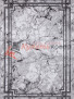 ����� PANAMA PN006G � GREY / GREY