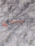 ����� ELEXSUS OLIMPOS Y5088F � GREY / GREY