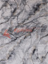 ����� ELEXSUS OLIMPOS Y5088K � SIYAH / GREY