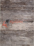 ����� IBIZA 4087 � BEIGE-GRAY
