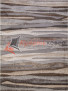 Ковер IBIZA 4091 — BEIGE-GRAY Ковер IBIZA 4091 — BEIGE-GRAY
