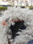 Ковер MERINOS Турция — FLOKATI 80062 — 070 Ковер MERINOS Турция — FLOKATI 80062 — 070