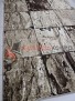 SUNRISE D462 BEIGE