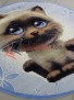 Детский ковер Радуга 3534A4K — RA Детский ковер Радуга 3534A4K — RA