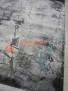 Ковер на пол IBIZA 20854-096 Ковер на пол IBIZA 20854-096
