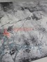 Ковер на пол IBIZA 20854-096 Ковер на пол IBIZA 20854-096
