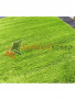 SHAGGY ULTRA S600 GREEN SHAGGY ULTRA S600 GREEN