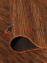 Ragolle Brighton 98422 801799 Ragolle Brighton 98422 801799