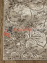 ����� Ragolle Fresco 69005 6555