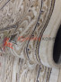 Ковер GENOVA 38378-626260 Ковер GENOVA 38378-626260