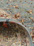 КОВЕР SHIRAZ ESLIMI — BLUE КОВЕР SHIRAZ ESLIMI — BLUE