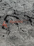 ���������� ����� �� ��� LOUVRE V01-BLACK