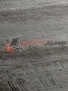 Персидский ковер на пол LOUVRE V03-GREY Персидский ковер на пол LOUVRE V03-GREY