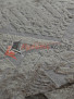 Персидский ковер на пол LOUVRE V03-GREY Персидский ковер на пол LOUVRE V03-GREY