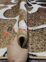 SUNRISE D047 CREAM SUNRISE D047 CREAM