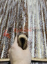 SUNRISE D446 GRAY-BEIGE SUNRISE D446 GRAY-BEIGE