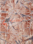 ����� �� ��� ZEUS 0B2497 � VANILA / BRICK
