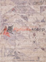����� �� ��� ZEUS 0B2479 � VANILA / GREY